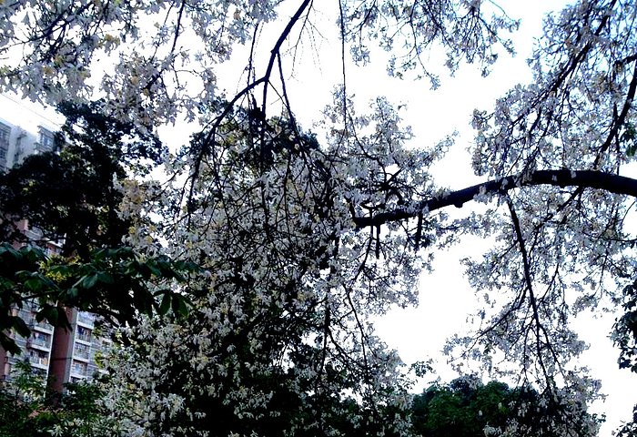 襄陽軸承技工學校