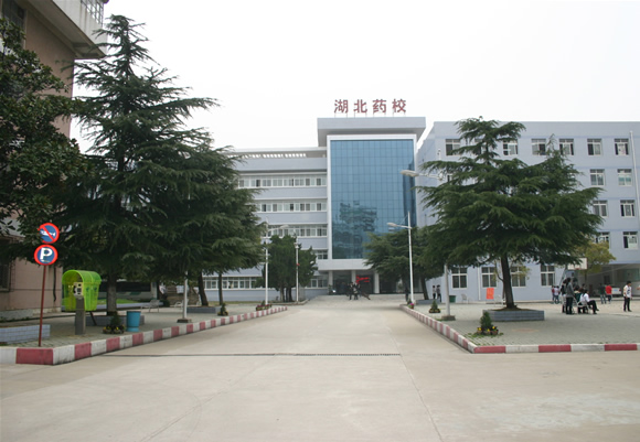 湖北省醫(yī)藥學(xué)校