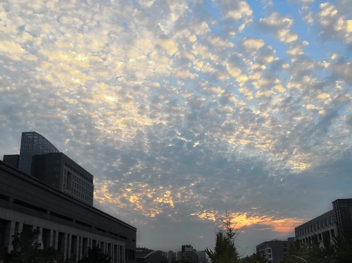 崇陽縣華陂職業(yè)中學(xué)