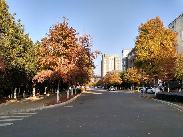 宜都光學技工學校