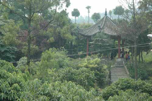 襄陽市護士學校