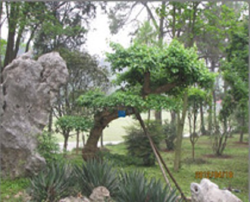 武漢市園林技工學(xué)校