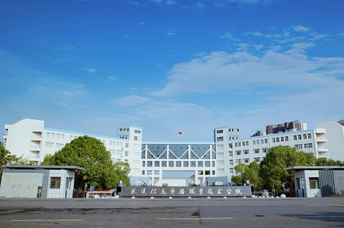 武漢信息傳播職業(yè)技術(shù)學(xué)院2021年高職擴招專業(yè)