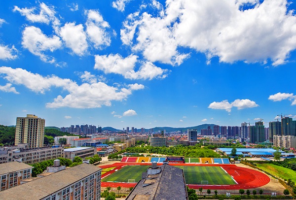 武漢工程科技學院2020年分數線