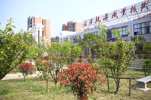 武漢航海職業(yè)技術(shù)學(xué)院2021年招生計(jì)劃