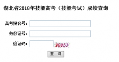 湖北省2018年技能高考(技能考試)成績查詢