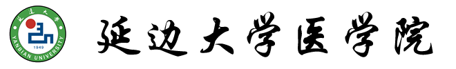 ydyxylogo2.fw.png