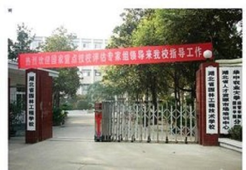 t016ae8a594986400af.jpg