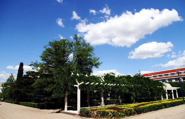 校園風景 (3)_縮小大小.jpg