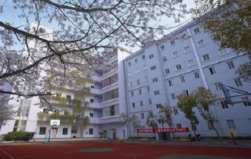 湖北藝術(shù)職業(yè)學(xué)院.jpg
