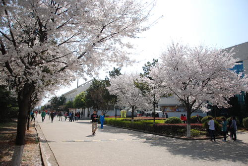 武漢信息傳播職業(yè)技術(shù)學(xué)院.jpg