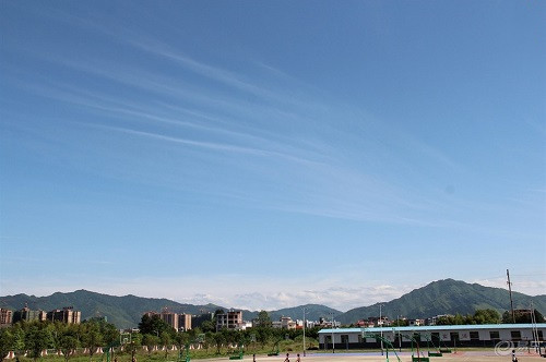 枝江市白洋鎮(zhèn)職業(yè)高中.jpg
