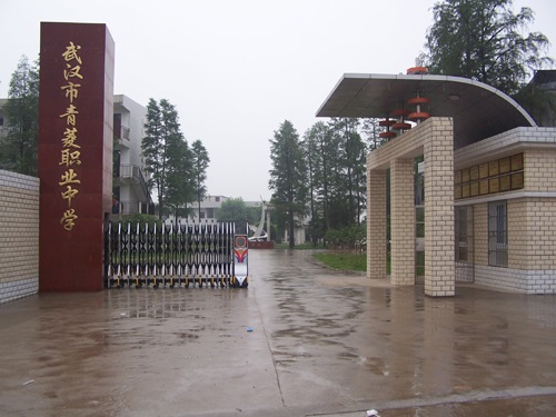 武漢市青菱職業(yè)中學.jpg