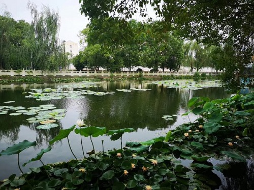 武漢市蔡甸區(qū)鐵鋪職業(yè)高級中學.jpg