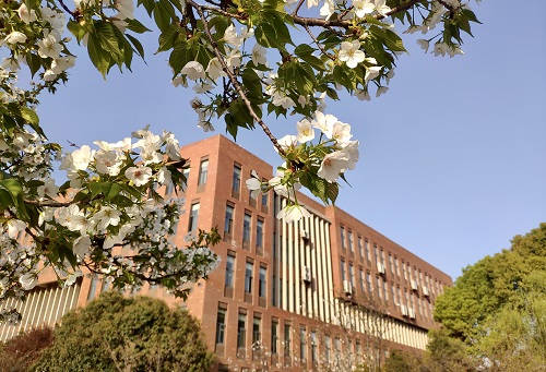 武漢科技大學(xué)城市學(xué)院.jpg