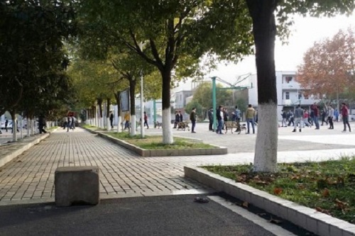 宜昌市體育運動學校.jpg
