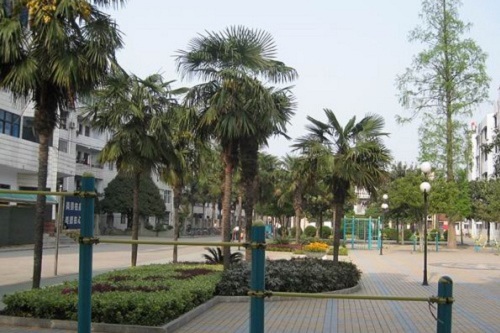 丹江口工業(yè)技工學校.jpg