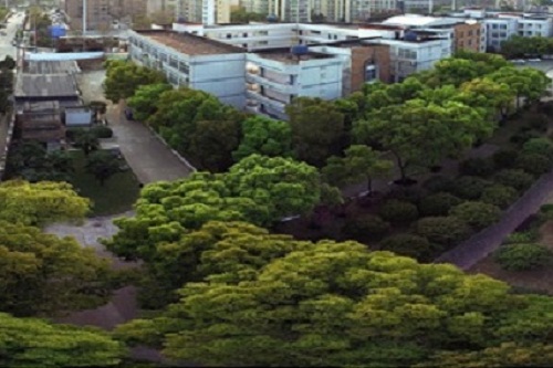 武漢市外貿(mào)學校.jpg