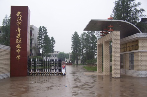 武漢市青菱職業(yè)中學(xué).jpg