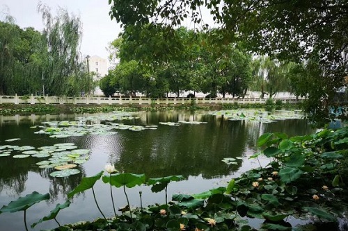 武漢市蔡甸區(qū)鐵鋪職業(yè)高級中學(xué).jpg