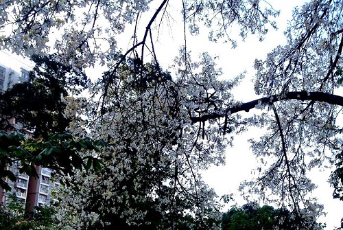 襄陽軸承技工學(xué)校.jpg