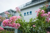 武漢市第一職業(yè)教育中心教學(xué)樓