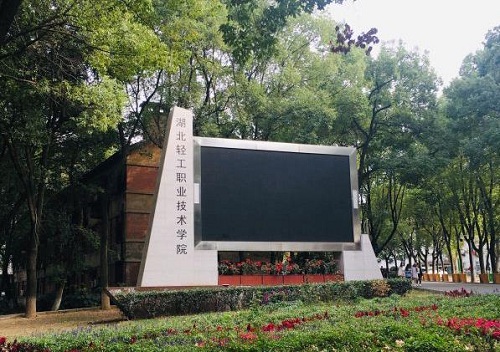 5376.jpg