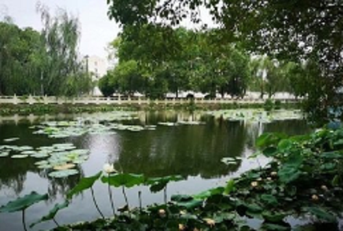 QQ截圖20230419151031.png